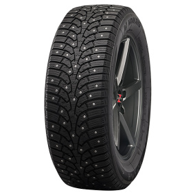 Nankang SW-9 215/65-16 T 102